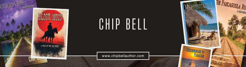 The Jake Sullivan Series